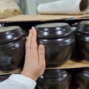 숨쉬는항아리 이미지