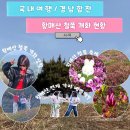 지에스25 개화행복점 | 합천 황매산 철쭉 개화 상황, 꼭 한번 가봐야 할 경남 가볼만한곳