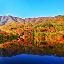 덕산자원(환경) 이미지