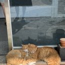 청파수산 - 동구 경안로 938 | 청파수산