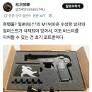 구하기 힘든 섬나라 에어소포트건 별명 이미지