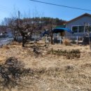 금성면사무소 화장실 이미지