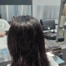 란샵I 네이버블로그