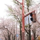 알기 쉬운 일본어 회화 이미지