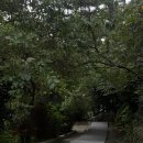해운대블루라인(주)청사포정거장 이미지