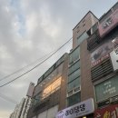 하이댕댕 이미지