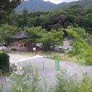 동호천 Daum카페