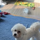 태장주유소 이미지