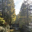 남대전푸른문고 | 11월 첫째주 - 임신 28주차, 건강하게 먹기, 대전 맛집, 독서