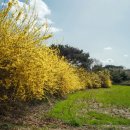 서울영일초등학교 이미지