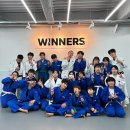 위너스유도 이미지