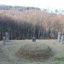 노한묘와 신도비 Daum카페