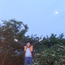 상면초등학교 이미지