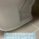 덕수궁롯데캐슬아파트경로당 | 덕수궁롯데캐슬아파트 변기 테두리 곰팡이, 바이오 실리콘 줄눈 시공 사례