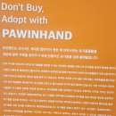 삼가-27 | 유기견 카페 내돈내산 후기 (포인핸드, 다시사랑하개, 훈트)