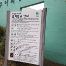 작전문화공원 이미지