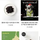 톰리프 이미지