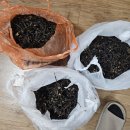 제주도 자연산 흙 고사리 필요하신분요 1근 75,000원(택배포함가)주문받습니다 이미지