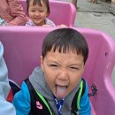점프스타 | 25년 가을의 한 주말, 경산 스타필드 티니핑 발레, 헬로카봇 뮤지컬, 인형뽑기 그리고 40개월의 이월드