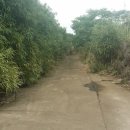 숙자공인중개사사무소 이미지