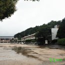 성포중학교 이미지