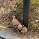 옐레드 문래역점 이미지