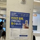 야옹아 멍멍해봐(에코시티점) 이미지