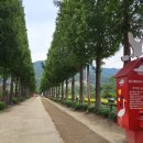 덕산 약수터 이미지