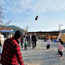 장좌리캠핑장 이미지