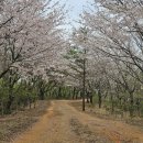 명덕체육공원 Daum카페