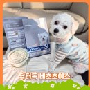 쵸이스 | 강아지저알러지사료 닥터독 베츠초이스 급여 후기