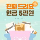 아이디어스 세뱃돈 주고받고 현금 5만원 모으기~ (~2/11) 이미지