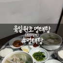육일원조명태탕 티스토리