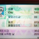 썬트레이너 이미지