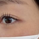 부산광역시청_2층 | 부산시청속눈썹펌 ‘누누슴’ 프리미엄 노글루펌 후기