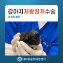 대치서울메디컬 이미지