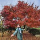 행복한농장 이미지