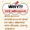 아름드리약국 | 대전 서구 도안동 예쁜아이소아과