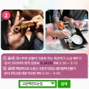 파티마여성병원 이미지