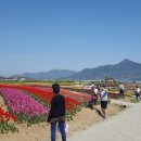 플라워가든 이미지