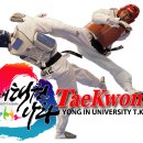 용인대태권나라 이미지