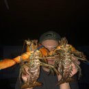 증평낚시 이미지