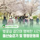 신전초등학교 | 2026 농소1동 울산숲 걷기 및 명랑운동회 완주 후기!