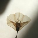 달빛마을 이미지