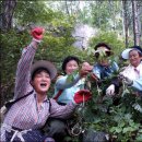 약초마을 이미지