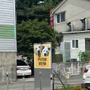 대동파출소 1층 | 김해 대동 대형견도 입장가능한 애견 운동장카페 두두리마당