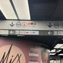 주식회사 꿀잼스튜디오 | 파리 디즈니랜드 크리스마스 방문 후기 놀이기구 추천