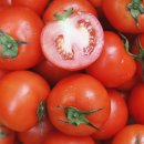 토마토 - 춘천시 서부대성로 136-1 | 토마토