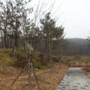오산10리 Daum카페