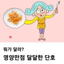 부드러운 이탈리아 정통 요리 ‘단호박 크림 뇨키’ 이미지